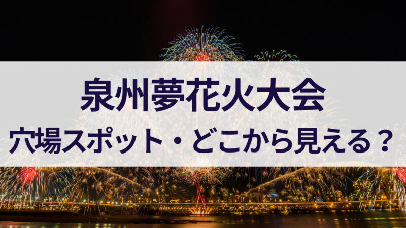 泉州夢花火　2023　穴場　見える場所　りんくう