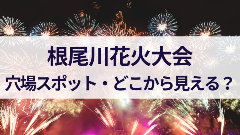 根尾川花火大会 2023　穴場スポット 見える場所