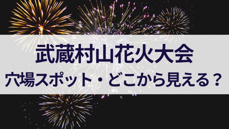 武蔵村山花火大会　2023　穴場スポット　どこから見える