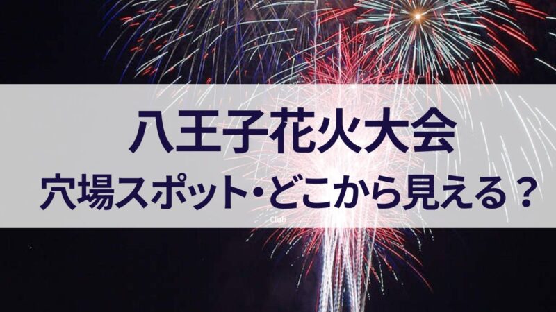 八王子花火大会　穴場スポット　どこから見える