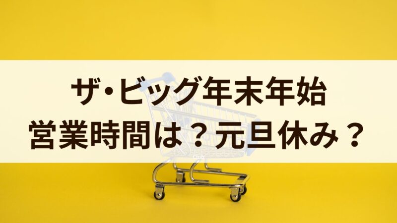 ザ・ビッグ　年末年始　2024　営業時間　休み　初売りセール