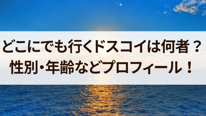 どこにでも行くドスコイ　何者　年齢　本名　性別　出身　大学