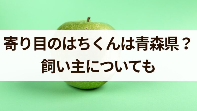 寄り目のはちくん青森のどこ 飼い主　仕事