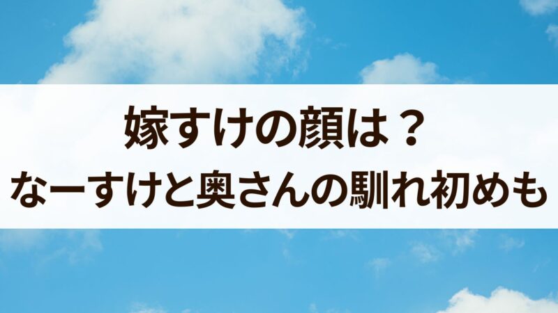 嫁すけ　顔　なーすけ奥さん　馴れ初め