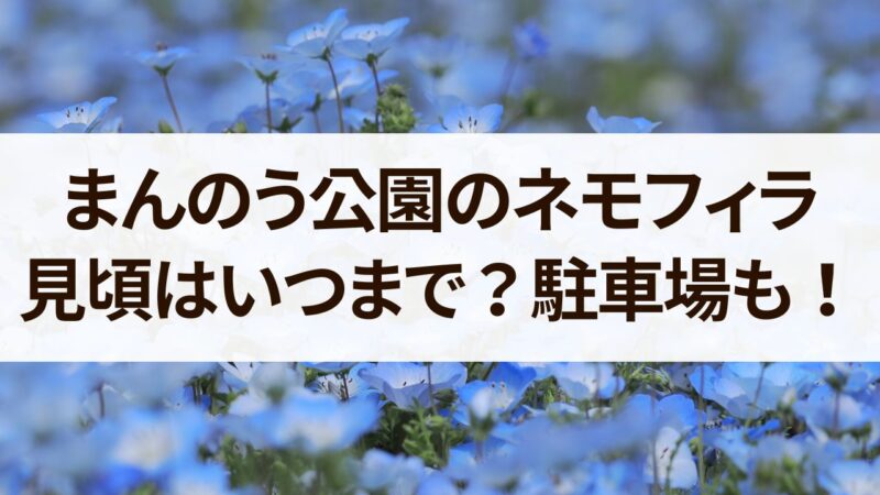 まんのう公園　ネモフィラ　見頃　開花状況　駐車場