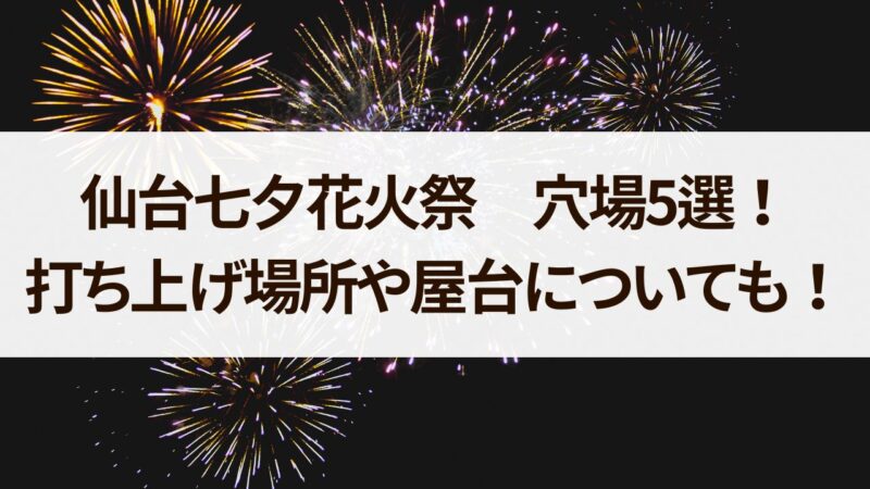 仙台七夕花火　穴場