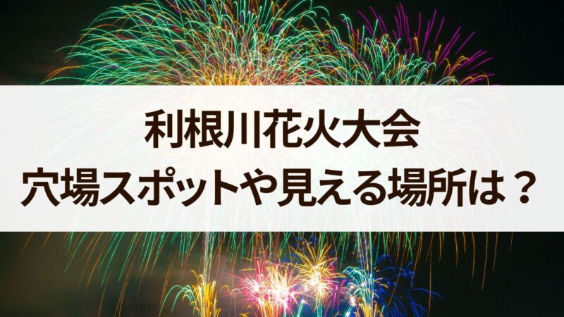 利根川花火　穴場