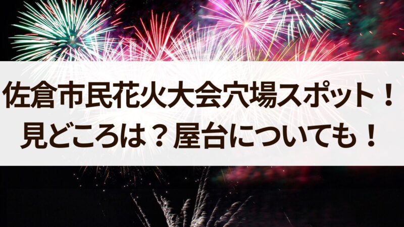 佐倉市民花火大会　2024　穴場　スポット　見どころ　屋台について